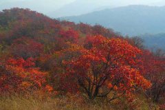 香山包车,35座大巴到香山包车攻略，